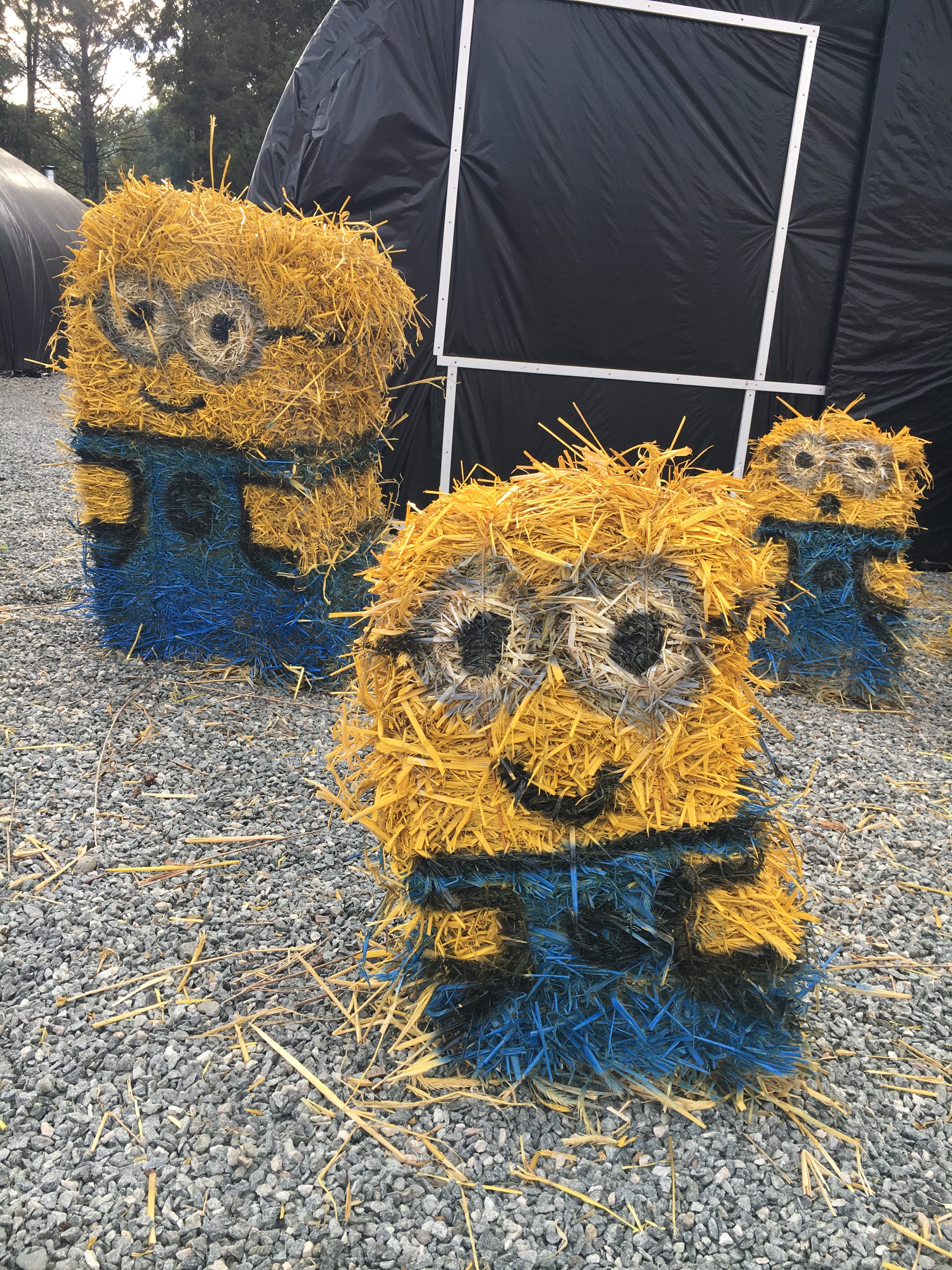 These too can be yours! Minions for sale!