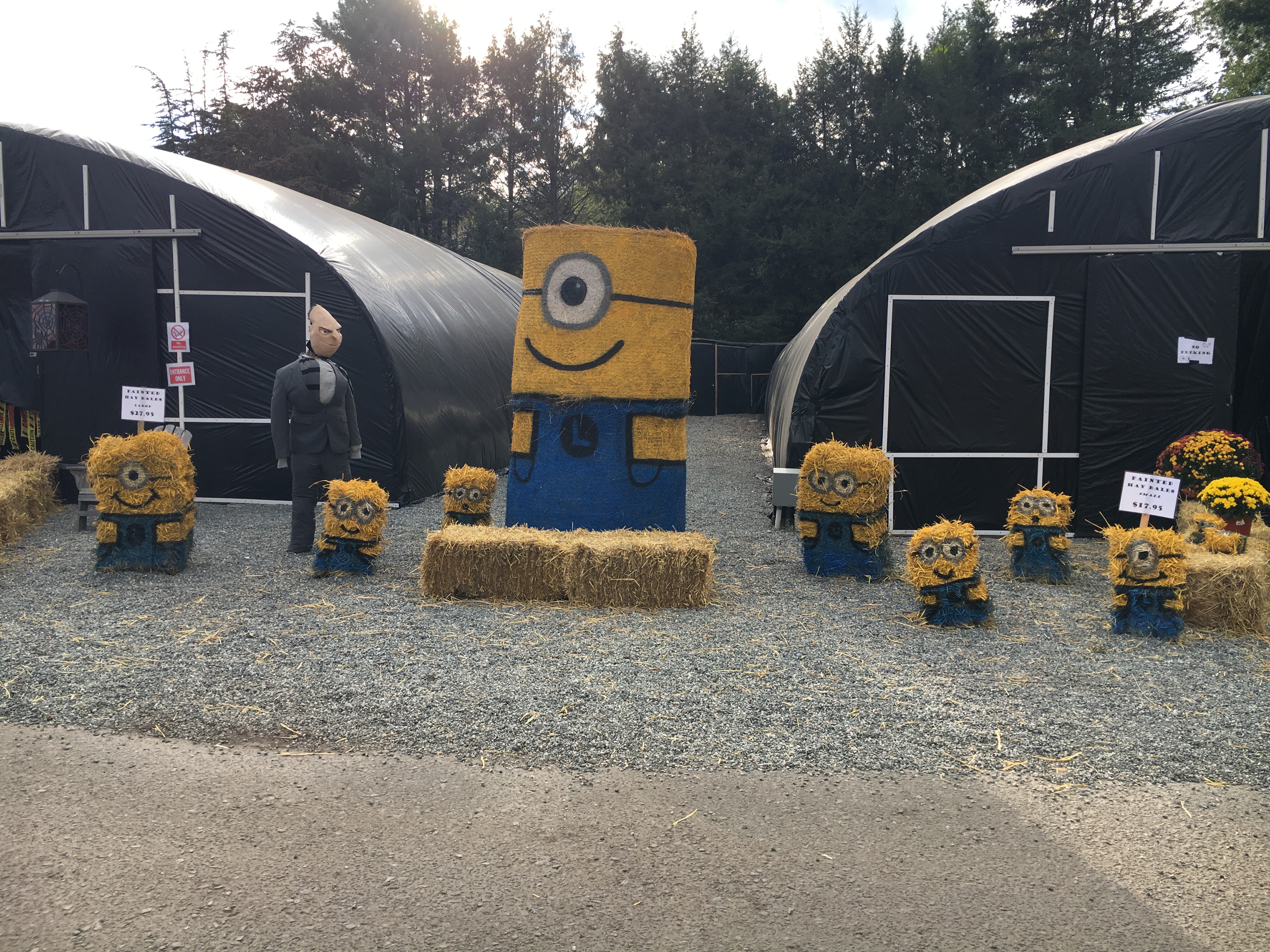 Minions for sale!
