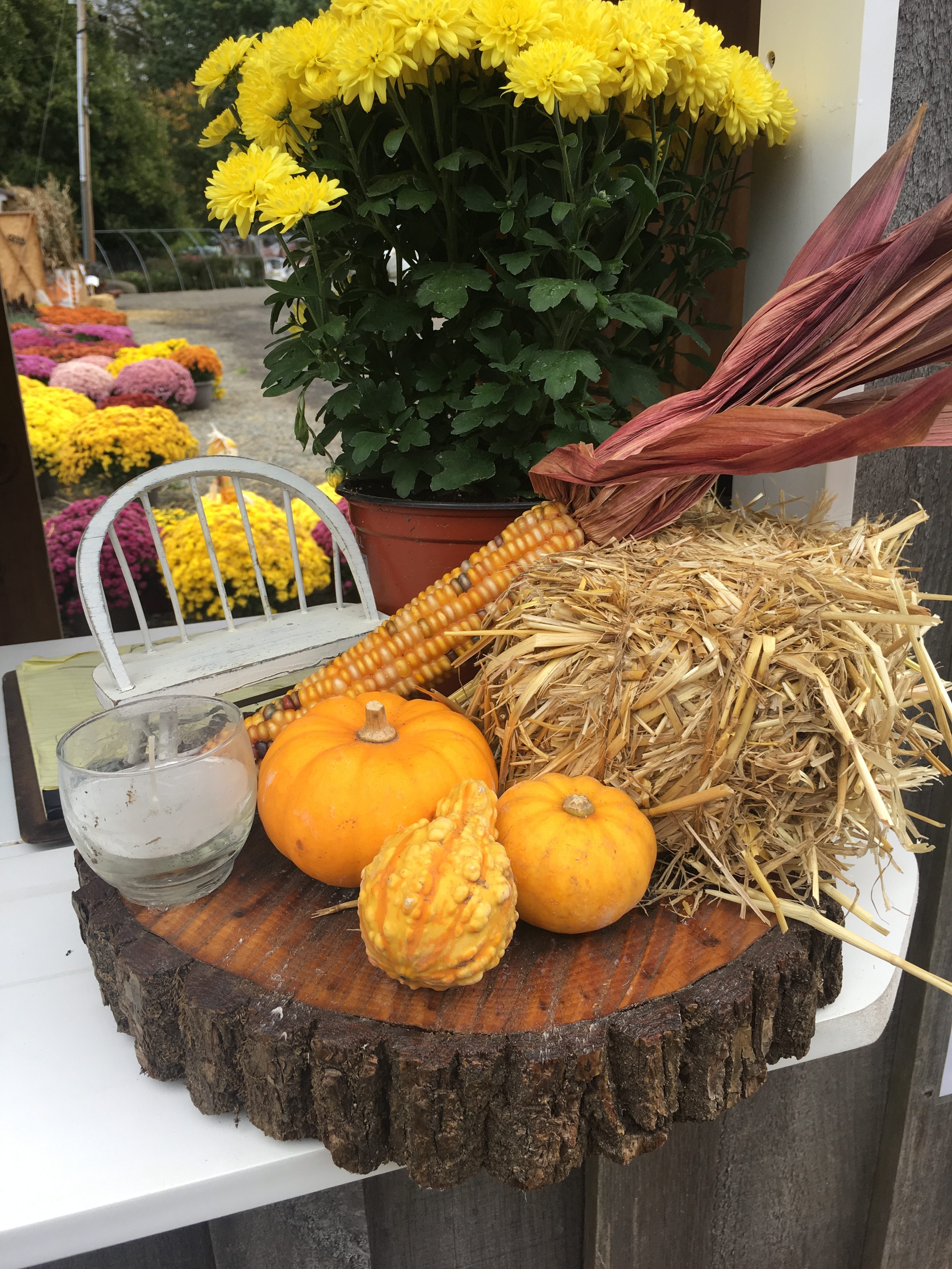 Handmade Fall Decor for sale! It's perfect for a fall table display!